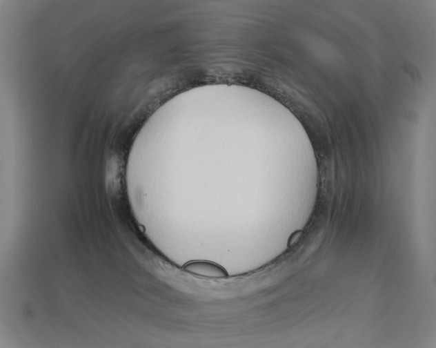 X0000113070038200909250938