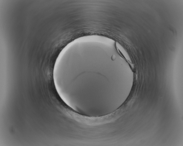 X0000113070039200909250938