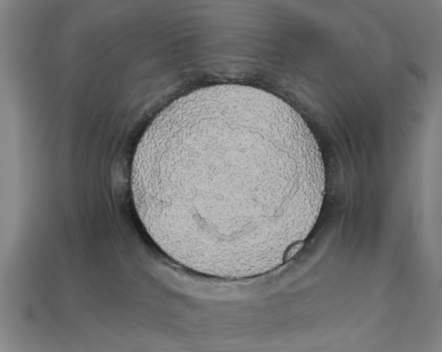 X0000113070040200909250938