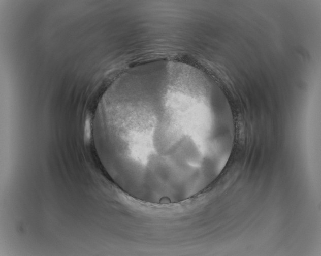 X0000113070042200909250938