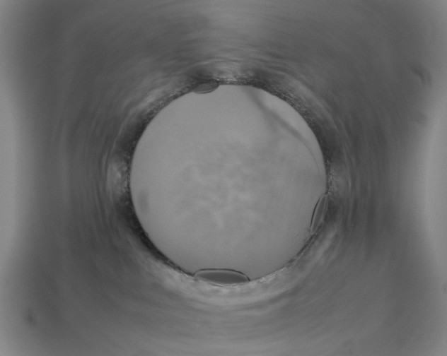 X0000113070043200909250938