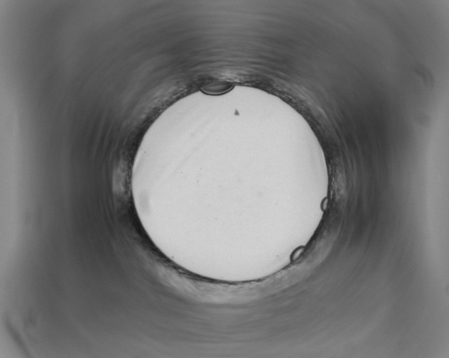 X0000113070044200909250938