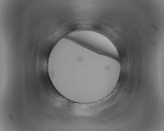 X0000113070045200909250938