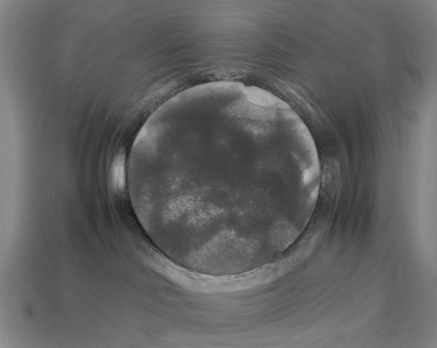 X0000113070046200909250938