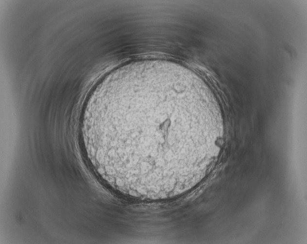 X0000113070049200909250937