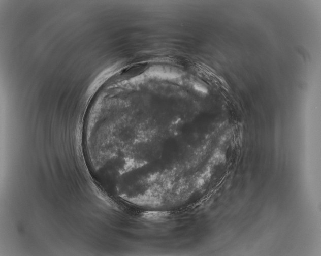 X0000113070051200909250937