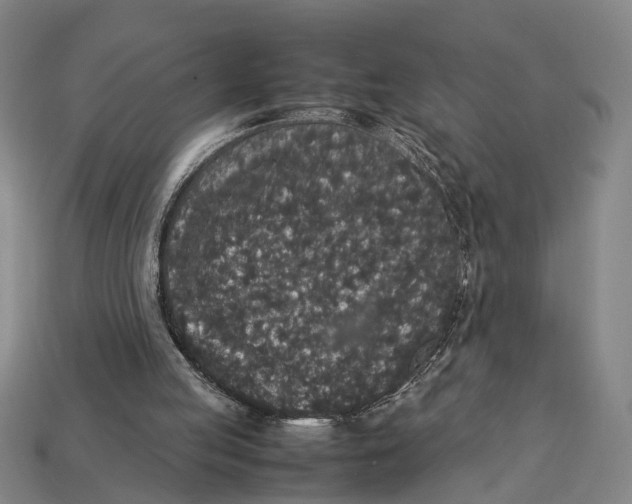 X0000113070053200909250937