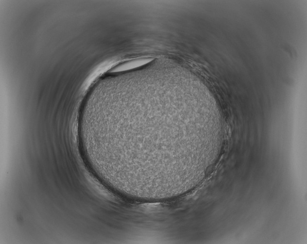 X0000113070054200909250937
