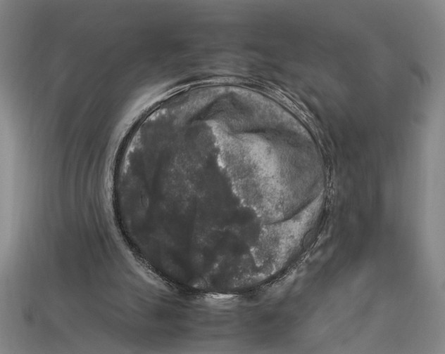 X0000113070055200909250937