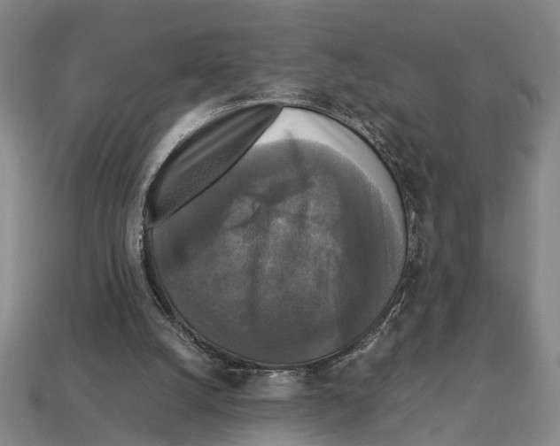 X0000113070056200909250937