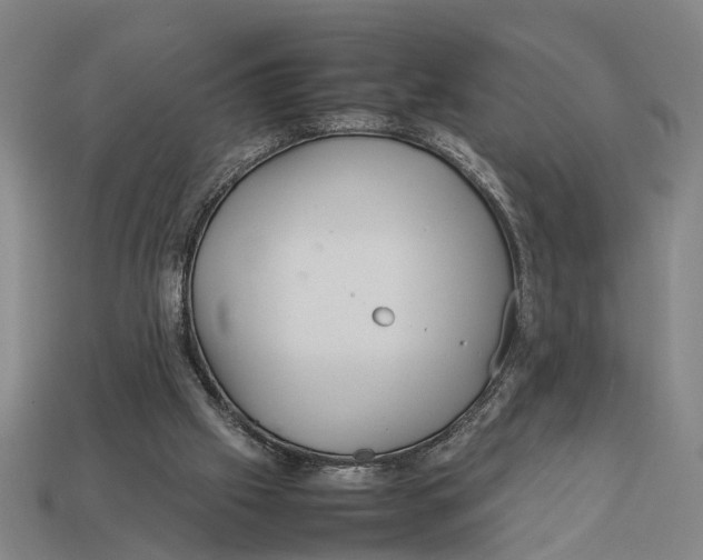 X0000113070057200909250937