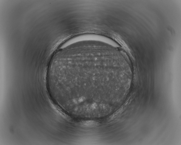 X0000113070058200909250937