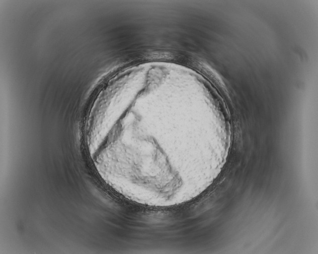 X0000113070059200909250937