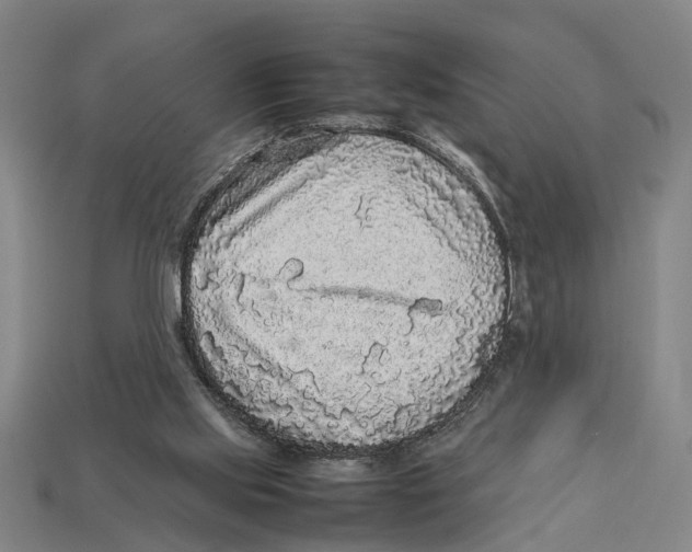 X0000113070061200909250937