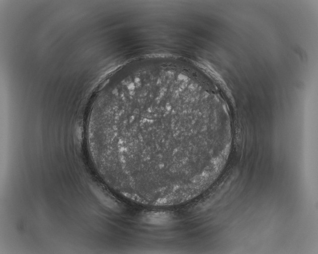 X0000113070063200909250937