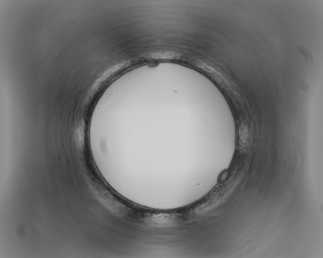 X0000113070064200909250937