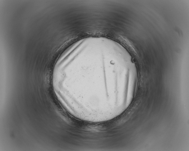 X0000113070065200909250937