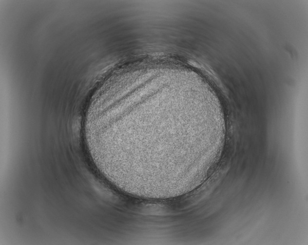 X0000113070066200909250937