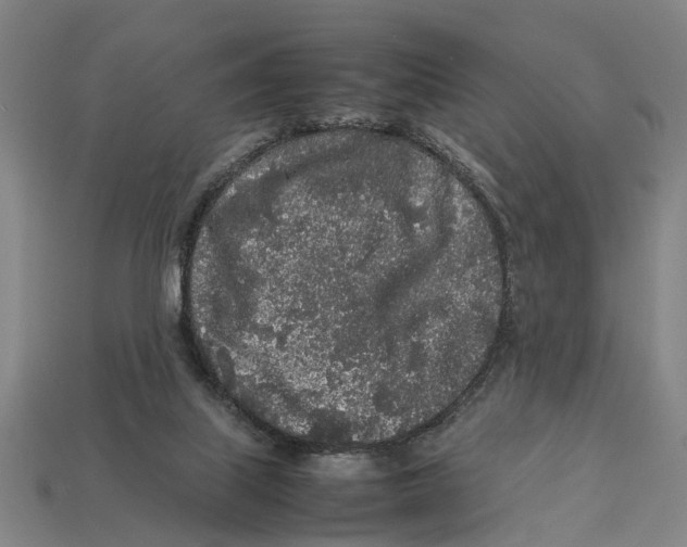X0000113070067200909250937