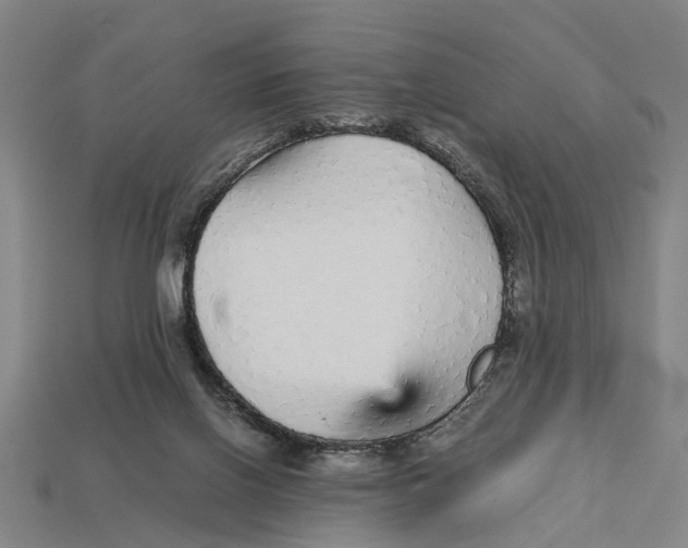 X0000113070070200909250937