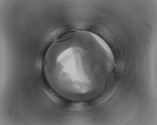 X0000113070072200909250937
