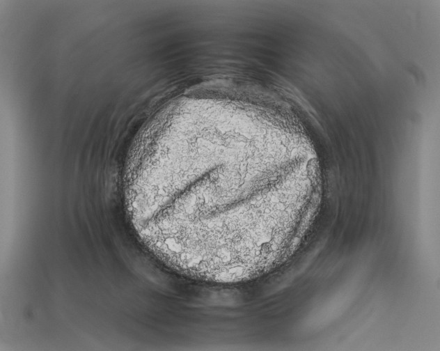 X0000113070073200909250937