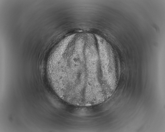 X0000113070074200909250937