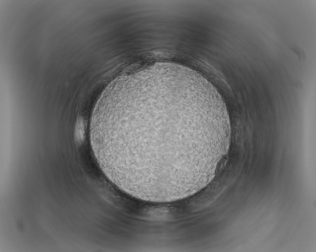 X0000113070075200909250937