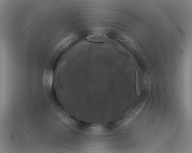 X0000113070076200909250938