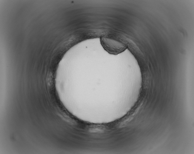 X0000113070077200909250938