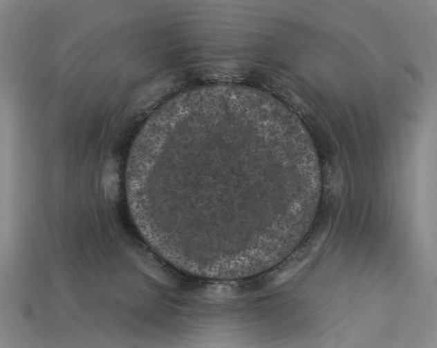 X0000113070080200909250938