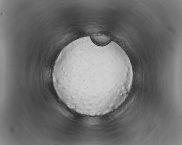 X0000113070081200909250938