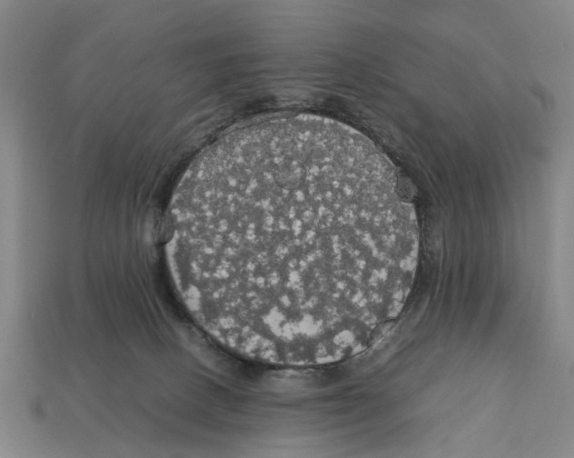 X0000113070082200909250938
