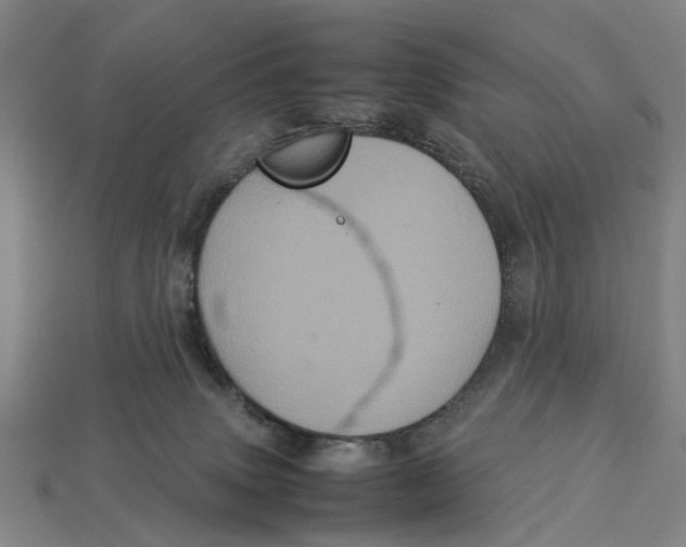 X0000113070083200909250938