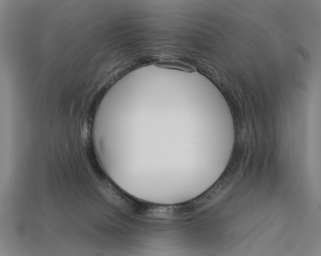 X0000113070084200909250938