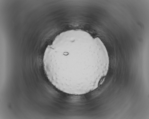 X0000113070085200909250938