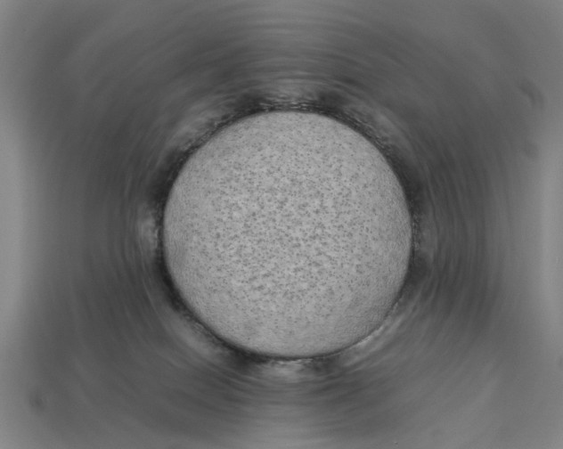 X0000113070086200909250938