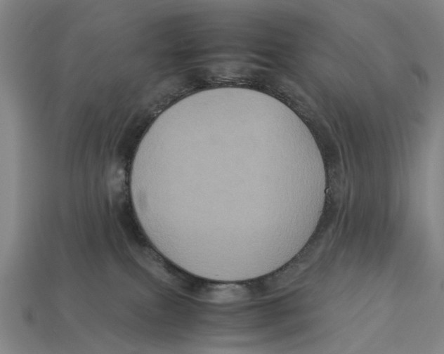 X0000113070087200909250938