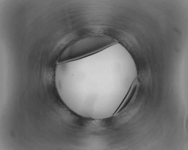 X0000113070092200909250938