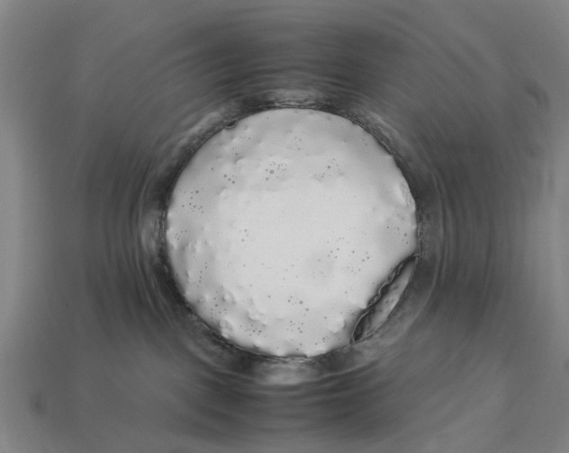 X0000113070093200909250938