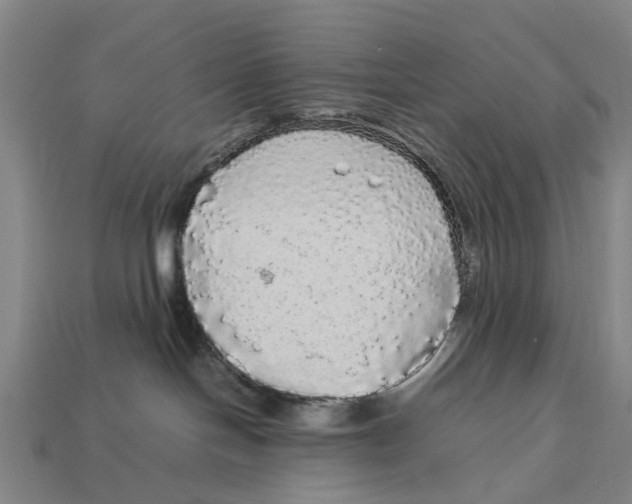 X0000113070094200909250938
