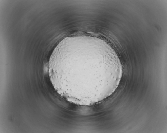 X0000113070095200909250938