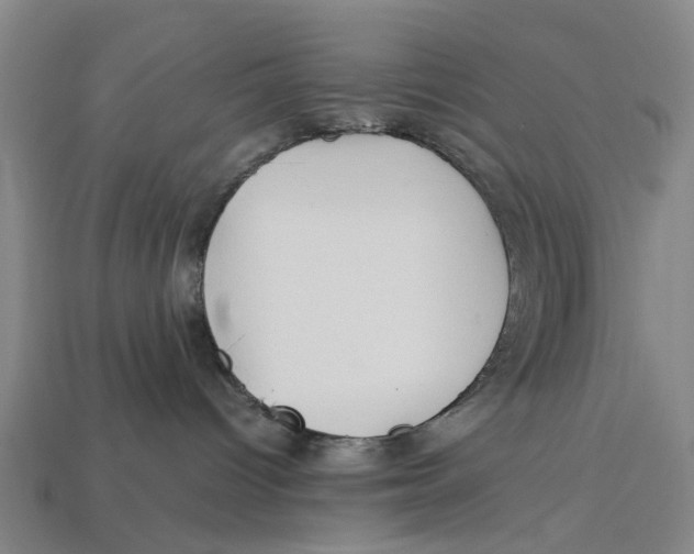 X0000113070096200909250938