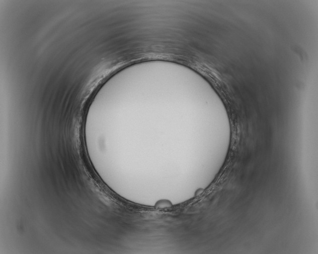 X0000113070098200909250937