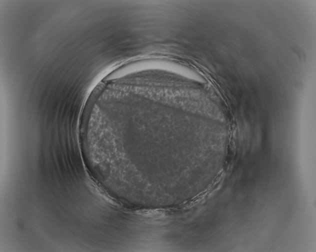 X0000113070100200909250937