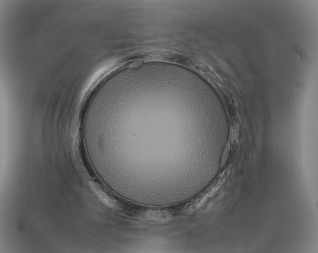 X0000113070101200909250937