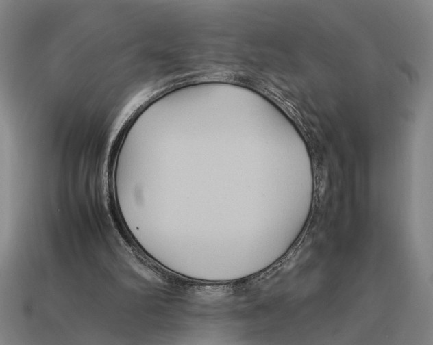 X0000113070102200909250937
