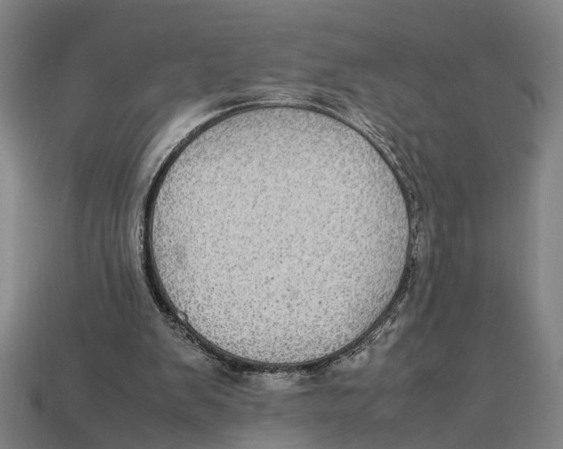 X0000113070103200909250937