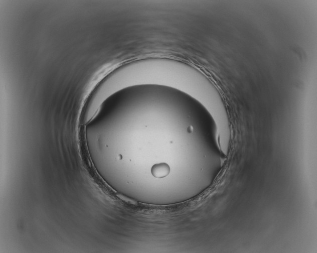 X0000113070104200909250937