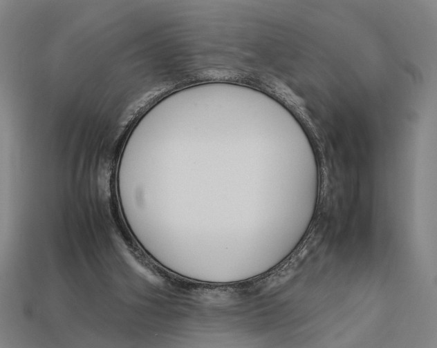 X0000113070106200909250937